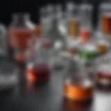 A detailed diagram showcasing the various types of metabolic assays.