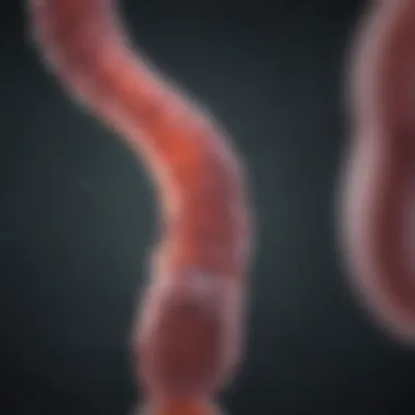 Alternative Therapeutic Strategies for UTIs Alternative treatment options for UTIs