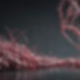 Abstract representation of postbiotics
