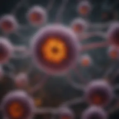 Cellular Pathways Influenced by Quercetin Cellular pathways influenced by quercetin
