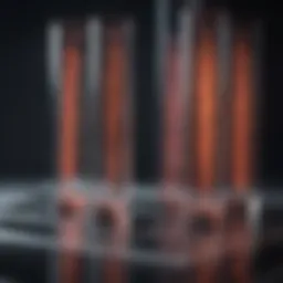 Schematic representation of Quickchange PCR technique