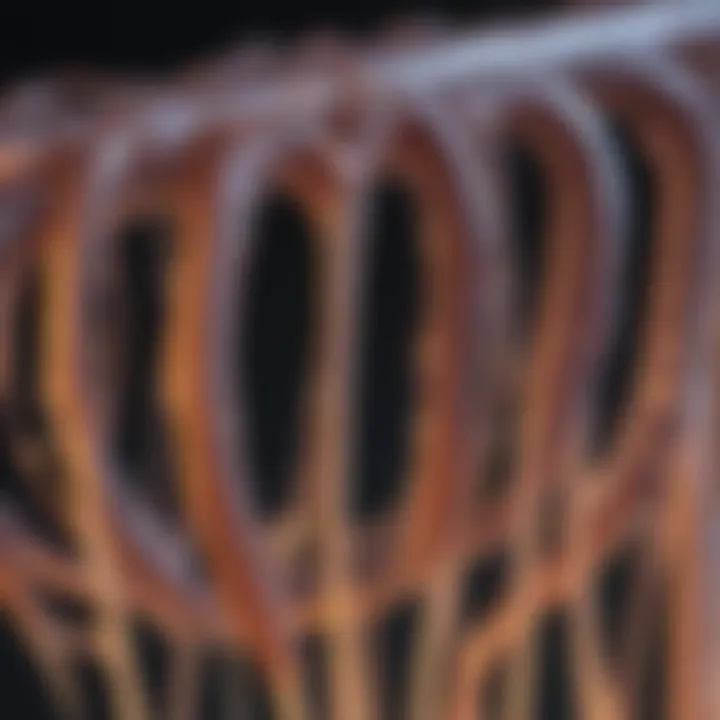 Mechanical properties of collagen