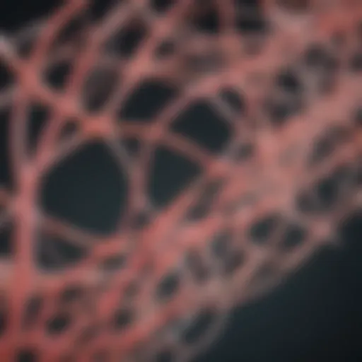 Molecular structure of rat tail type I collagen