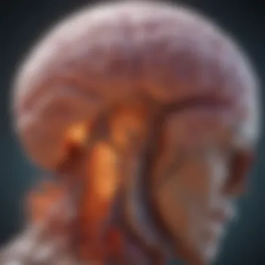 Cellular Mechanisms of Refractory Glioblastoma Diagram illustrating the cellular mechanisms of refractory glioblastoma