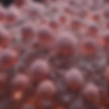 Cytological Features of SCLC Cytological features of small cell lung cancer