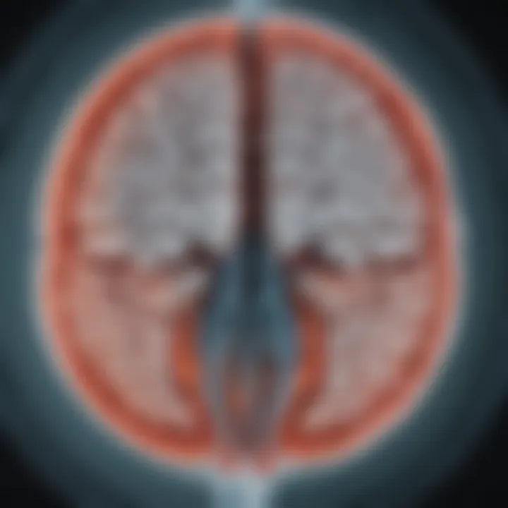 Detailed view of brain MRI showing white matter abnormalities