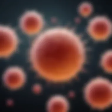 Graphic representation of stem cell differentiation