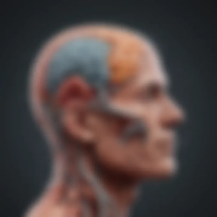 Illustration depicting neuroprotective effects of alpha-ketoglutarate on brain health