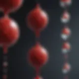 Diagram illustrating the components of blood balance