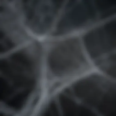 The Intricate Structure of the Cascade Web Visual representation of the cascade web structure
