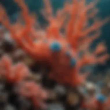 Symbiosis in Coral Ecosystems An underwater scene illustrating the symbiotic relationship between corals and marine life.