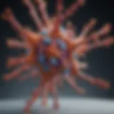 DARC antibody structure