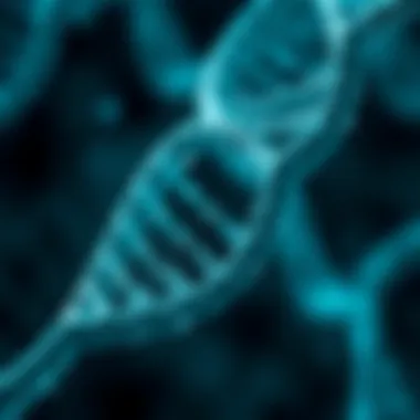 A close-up of a DNA double helix structure