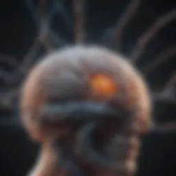 Neural networks illustrating brain connectivity