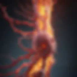 Illustration depicting the role of C-reactive protein in inflammatory responses.