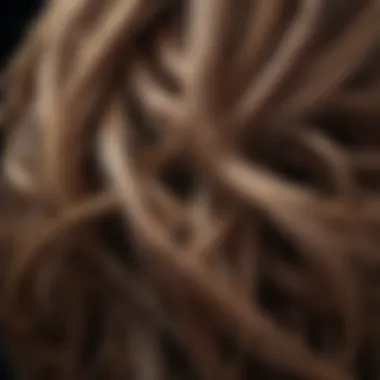 Artistic Interplay of Hair Strands An artistic representation of hair strands intertwined