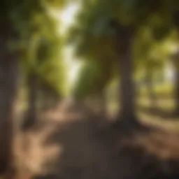 Exploring Vineyard Landscapes: A Multifaceted Perspective Introduction