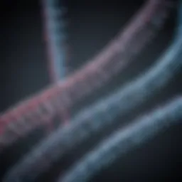 Diagram illustrating the principles of RNA sequencing technology