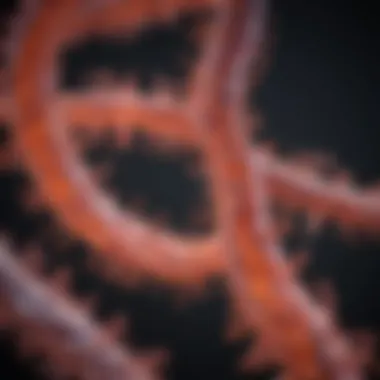 Amyloid Protein Accumulation in Various Tissues Illustration of amyloid protein accumulation in tissues