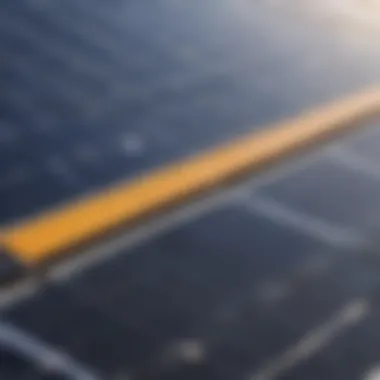 Financial Implications of Dual-Function Solar Panels Financial analysis graph showing cost savings from utilizing dual-function solar panels