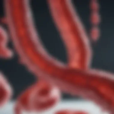 Visual representation of future applications of cord blood in medicine