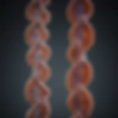 Chromosomal Structure and Genetic Anomalies Chromosomal structure indicating genetic anomalies