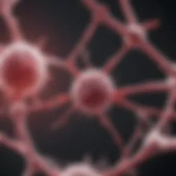 Diagram illustrating the genetic basis of cancer