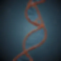 An intricate DNA double helix model showcasing the complexity of genetic structures.
