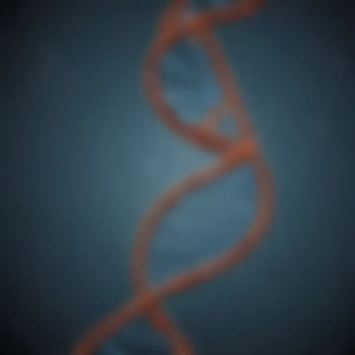 An intricate DNA double helix model showcasing the complexity of genetic structures.
