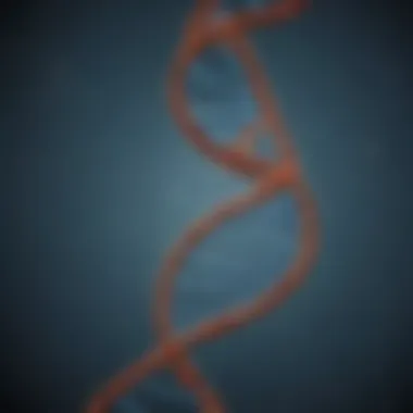 DNA Double Helix: The Blueprint of Life An intricate DNA double helix model showcasing the complexity of genetic structures.