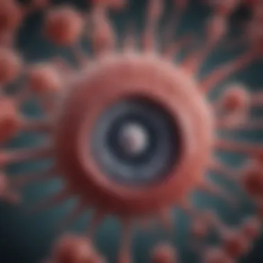 Understanding the Structure of Hepatitis B Virus Detailed diagram of hepatitis B virus structure