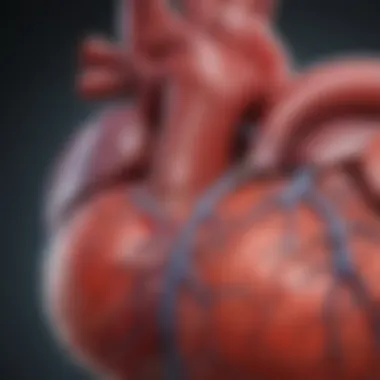 Understanding Cardiac Structure in HCM Cardiac structural changes in hypertrophic cardiomyopathy