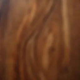 Close-up view of different wood grain patterns
