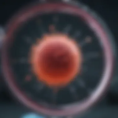 Adoptive Cell Therapy Explained Diagram of adoptive cell therapy in cancer immunotherapy
