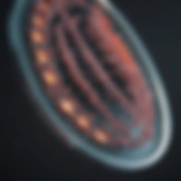 Visual representation of applications in biotechnology