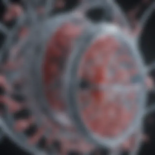 Diagram illustrating the structure of inducible plasmids