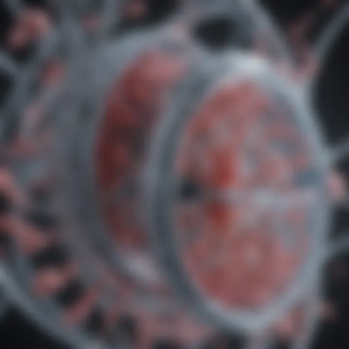 Diagram illustrating the structure of inducible plasmids