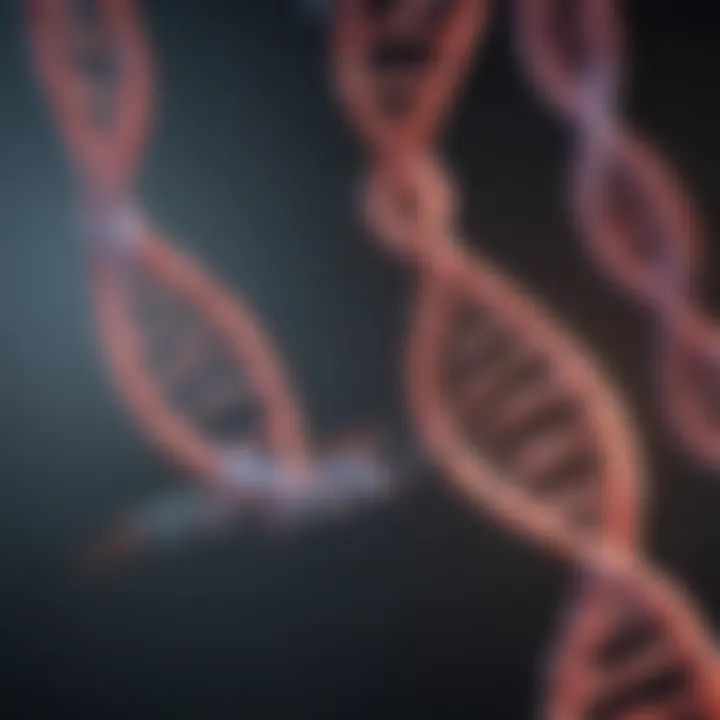 Diagram showing RNA primer binding to the DNA template.