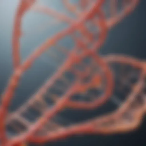 Illustration depicting the structure of RNA primers.