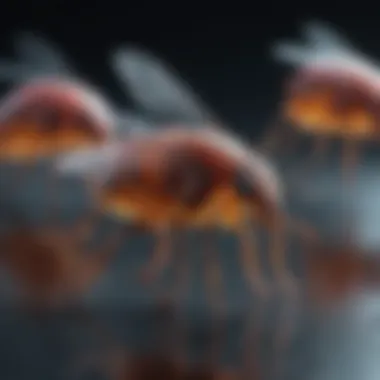 Recent Advancements in Insect Cell Culture Technologies Recent advancements in insect cell culture technologies
