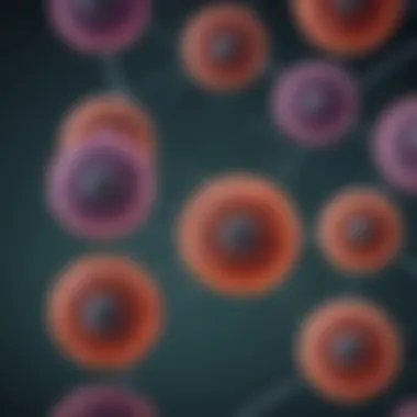 Diagram of gene expression mechanisms in insect cells