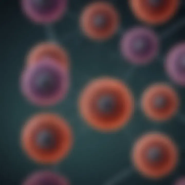 Diagram of gene expression mechanisms in insect cells