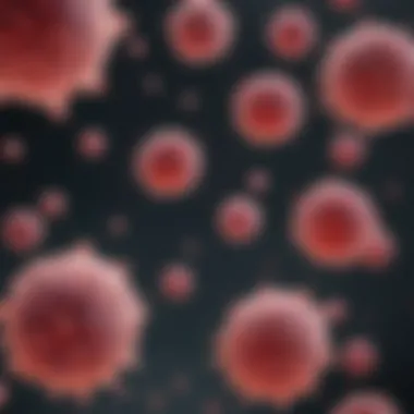 Kle Cell Line in Cancer Research Research setting focusing on cancer studies involving the Kle cell line