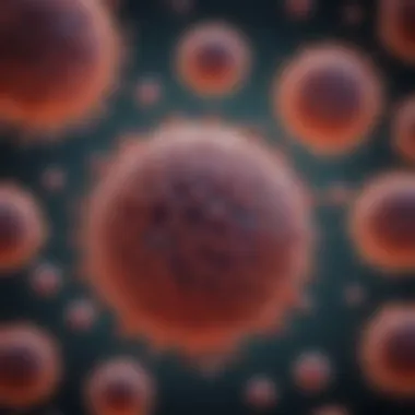 Microscopic view of Kle cell line exhibiting unique characteristics