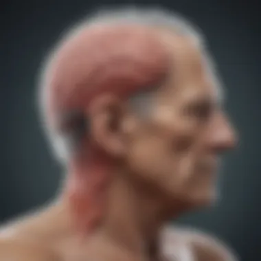 Neurological Changes in Lewy Body Dementia Illustration of Lewy Body Dementia brain changes