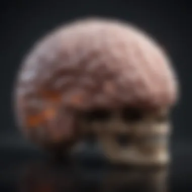 The Brain's Journey Through Lucid Dreaming A brain illustration highlighting different regions affected by lucid dreaming