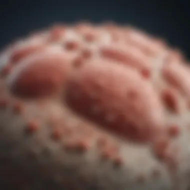 Recent Research on MCAS Overview of recent research findings on Mast Cell Activation Syndrome