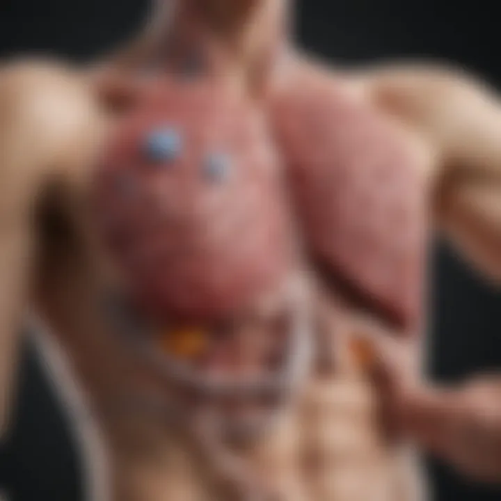 An illustrative diagram showing the mechanisms of action for liver health