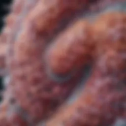 Microscopic view of mesothelioma tissue highlighting cellular structure
