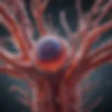 Visual representation of micro vessel pathology